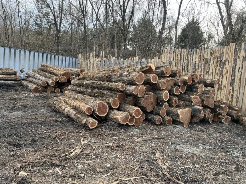 Why Cedar Wood is Among Best Choice for Fences - Decks