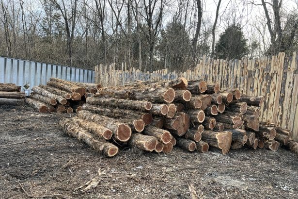 Why Cedar Wood is Among Best Choice for Fences - Decks