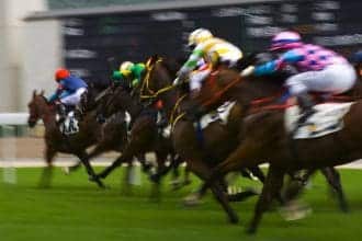 Constitution Hill ruled out of Cheltenham